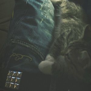 Meet your Posher, Alex